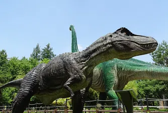 Учени с предположение защо тиранозаврите са имали малки ръце