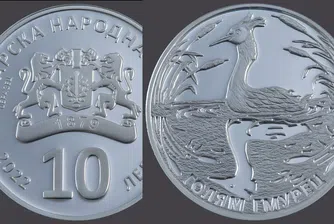 БНБ пуска в обращение сребърна възпоменателна монета "Голям гмурец"