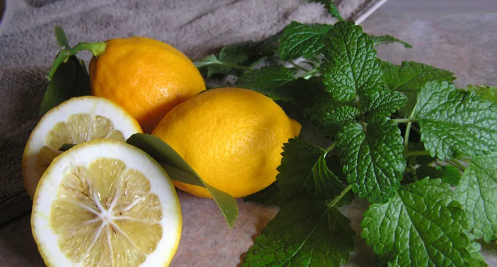 Как се заражда сицилианската мафия и каква е връзката с лимоните?