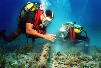 Човечеството не познава 2/3 от морските организми