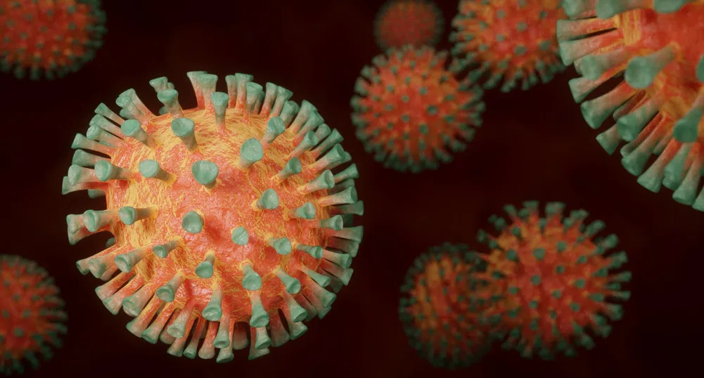 СЗО: Предаване на вируса на човек през животно е най-вероятната хипотеза