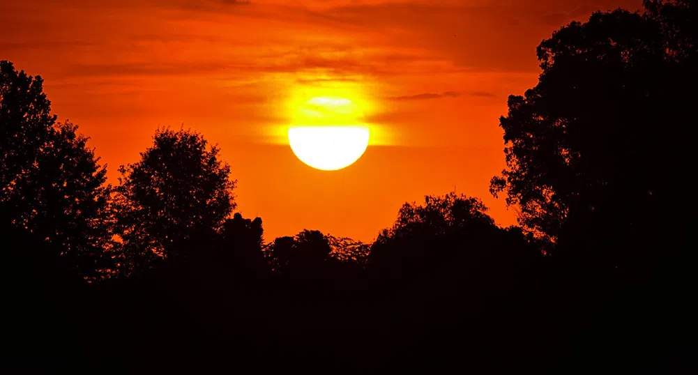 Снимка показва какво причинява 28 г. излагане на слънце на лицето