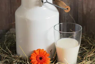 Синтетичното мляко завзема пазара