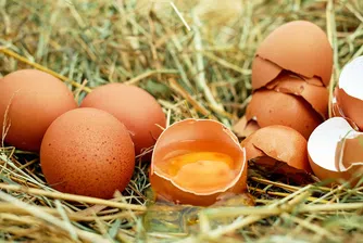 Заразени яйца с фипронил са открити в 15 страни членки на ЕС