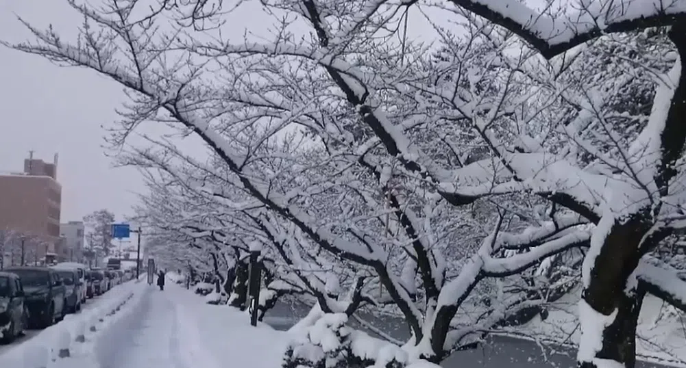 Животът в един от най-снежните градове в света