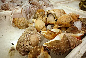 Азиатски интерес към родeн деликатес