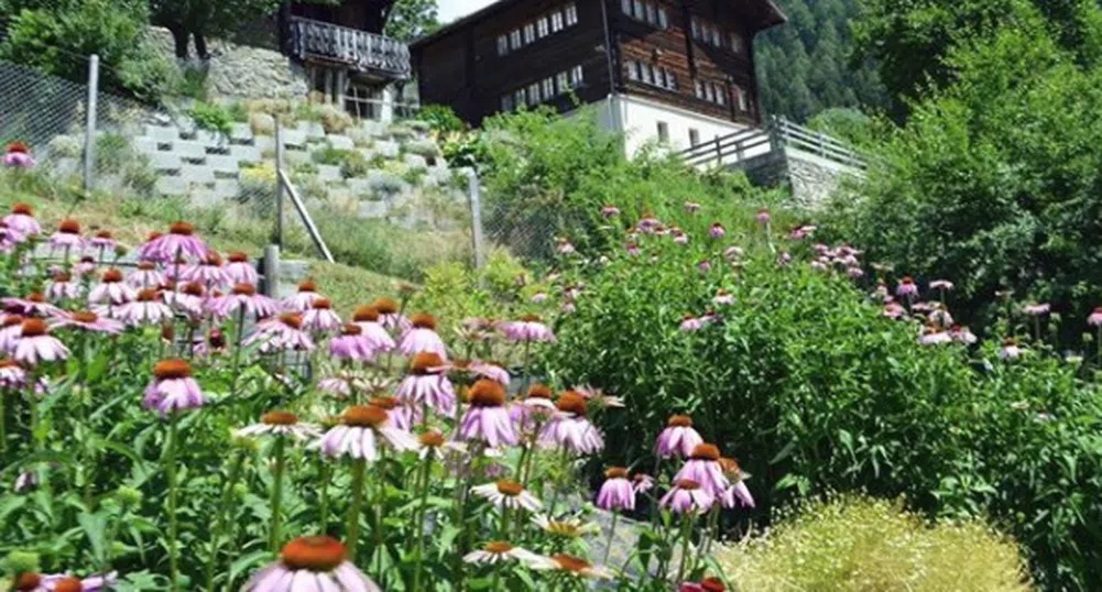 Швейцарско село дава $70 хил. на семейства, ако се заселят в него