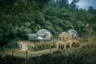 В този курорт гостите спят в прозрачни балони сред слонове