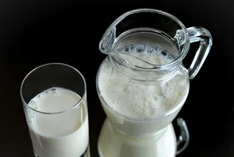 Кога хората са започнали да пият мляко?
