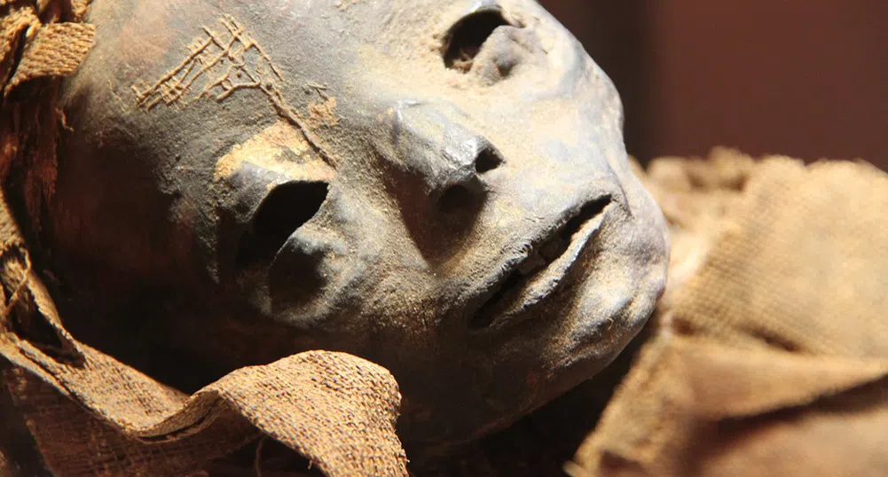 17 мумии, или още една причина да посетите Египет