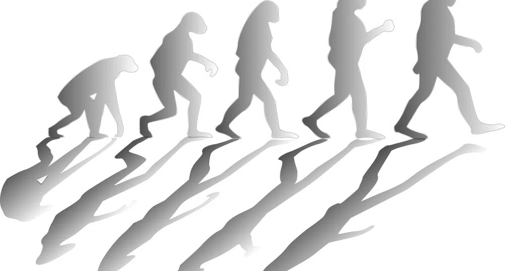 В Турция повече няма да изучават еволюционната теория на Дарвин