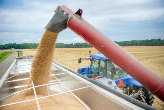 Зърнените култури са поскъпнали с 30% в края на годината