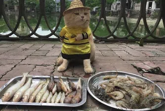 Този търговец може да ви продаде и пясък в пустинята