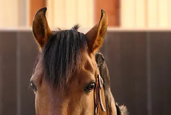 Поредната задача, която обърква интернет потребителите