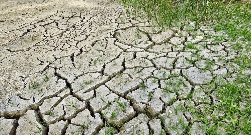 За първи път в България - земеделска застраховка срещу суша