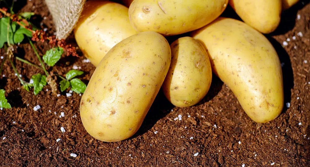 Богатите скандинавци ядат все по-малко картофи