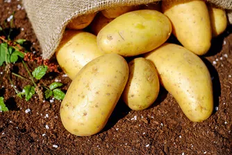 Богатите скандинавци ядат все по-малко картофи