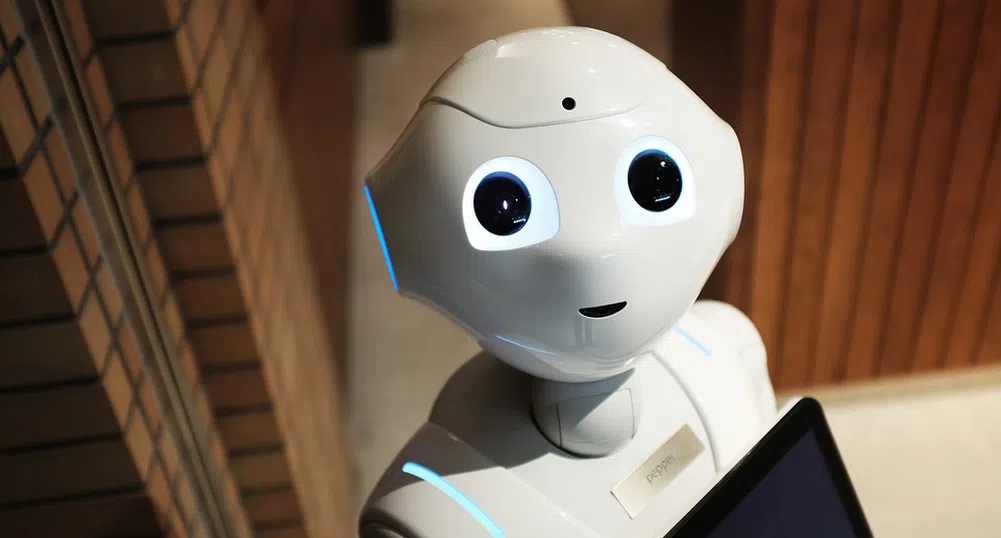 Ще решат ли роботите един от най-големите японски проблеми?