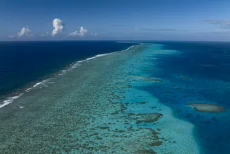 Най-големият риф в света е дом на хиляди морски обитатели, а срутване на ледника заплашва с воден Апокалипсис