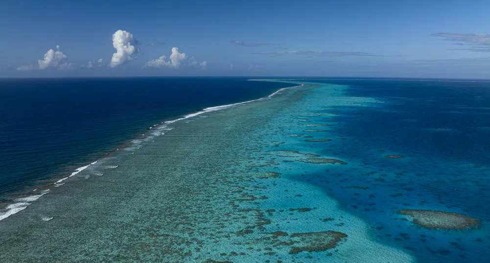 Природата предупреждава: Големият бариерен риф се руши, ледникът на Страшния съд се топи