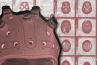 Китай изгражда индустрия за интерфейси мозък-компютър