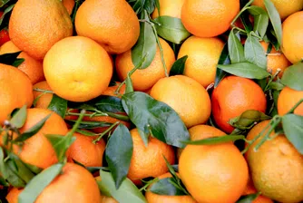 Това принуждава производителите да обмислят замяната на портокалите с алтернативи като круши, ябълки и грозде