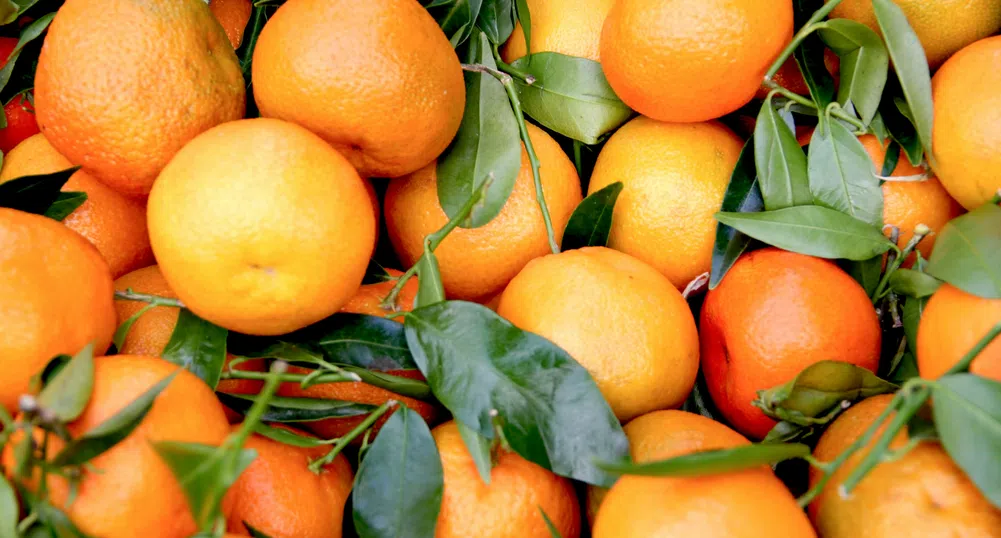 Суша и болести изстреляха глобалните цени на портокаловия сок до исторически рекорд