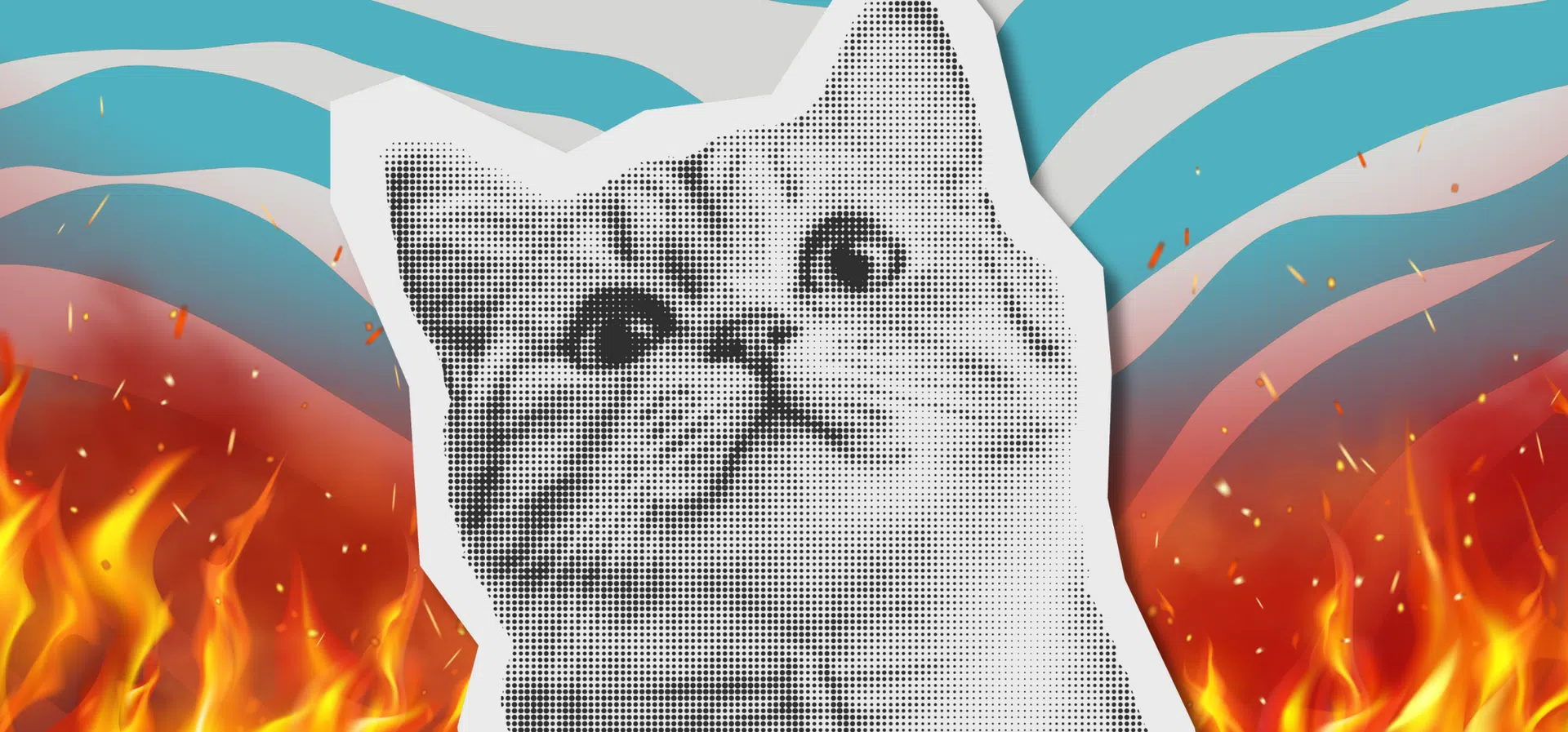 CatVideoFest: Светът гори? Просто пуснете видео с котки