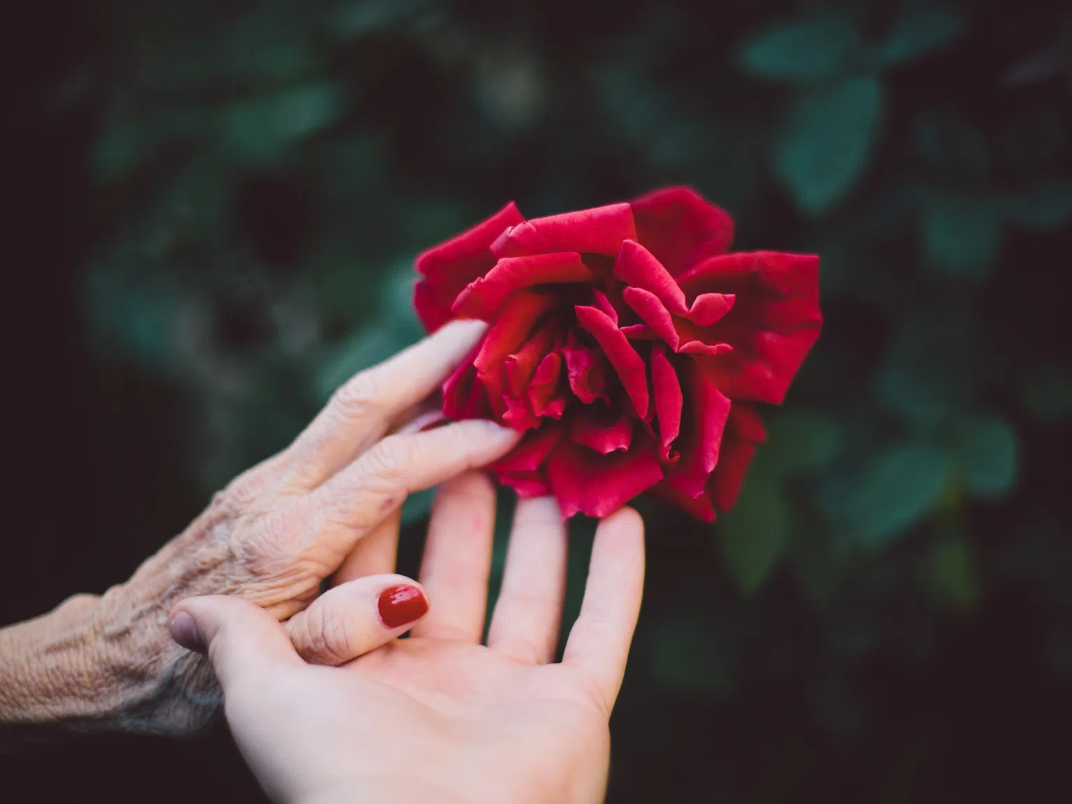 101-годишен невролог сподели тайната на дълголетието