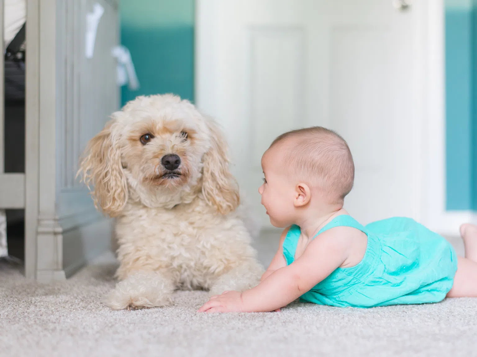 10 причини, заради които си струва децата ви да растат в компанията на домашни животни