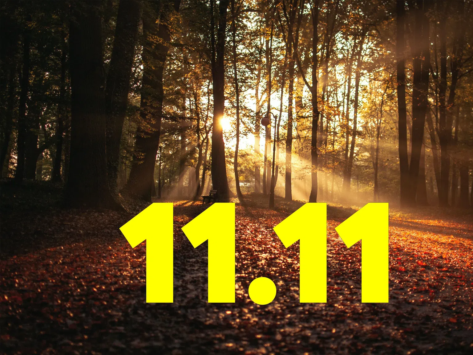 11 ноември: Защо комбинацията от числа 11.11 е специална?