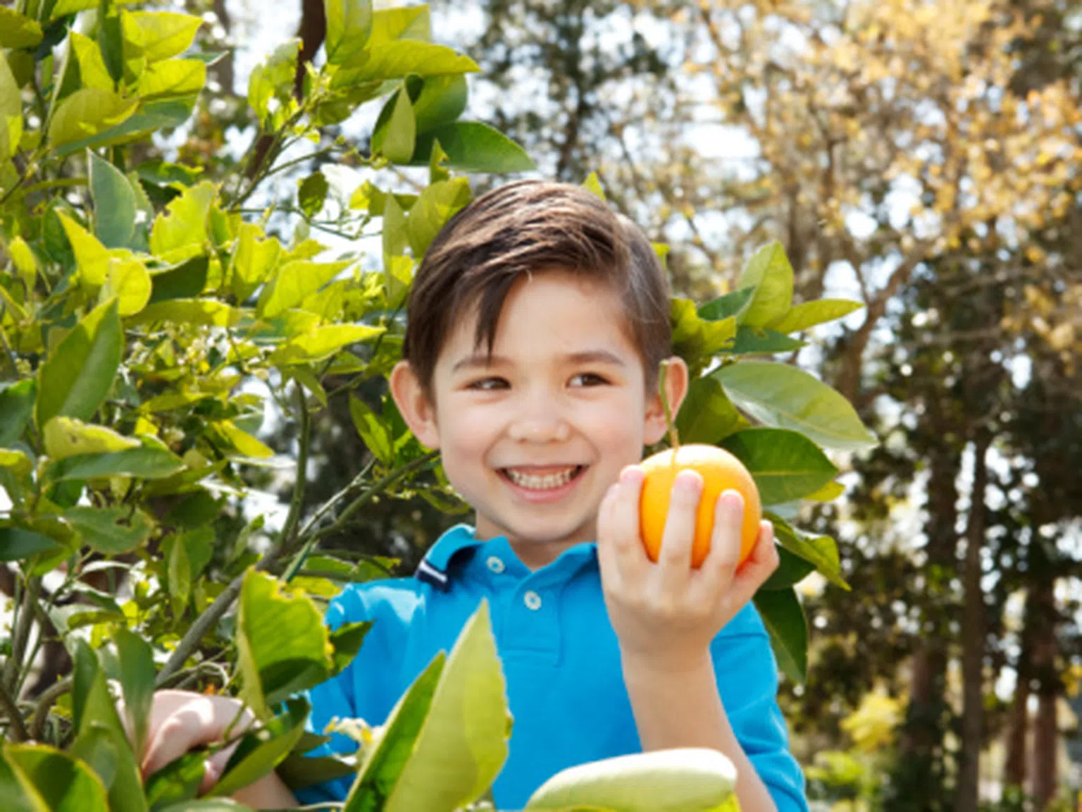 80% от децата не ядат достатъчно плодове и зеленчуци
