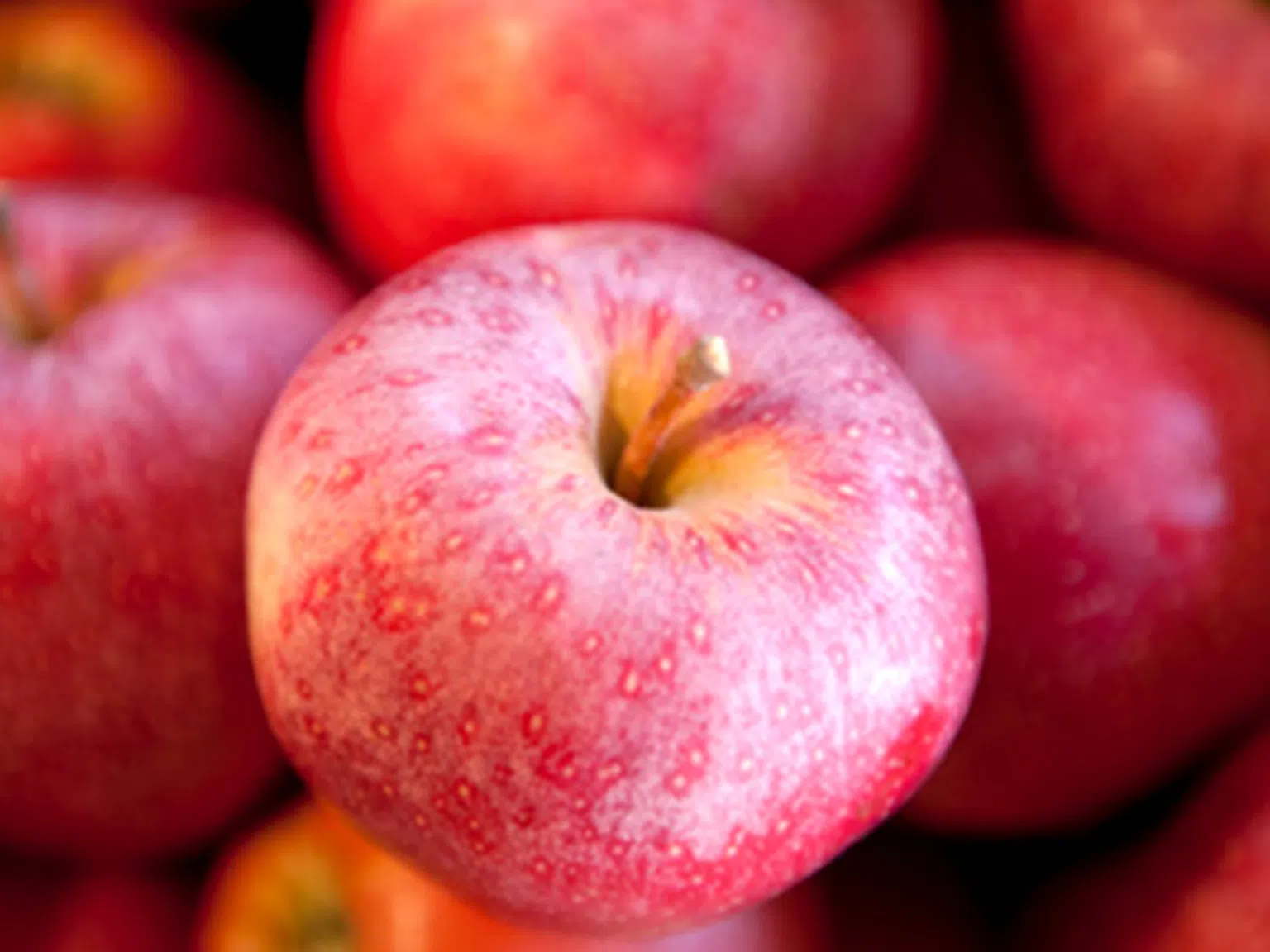 Ябълката: най-полезният плод