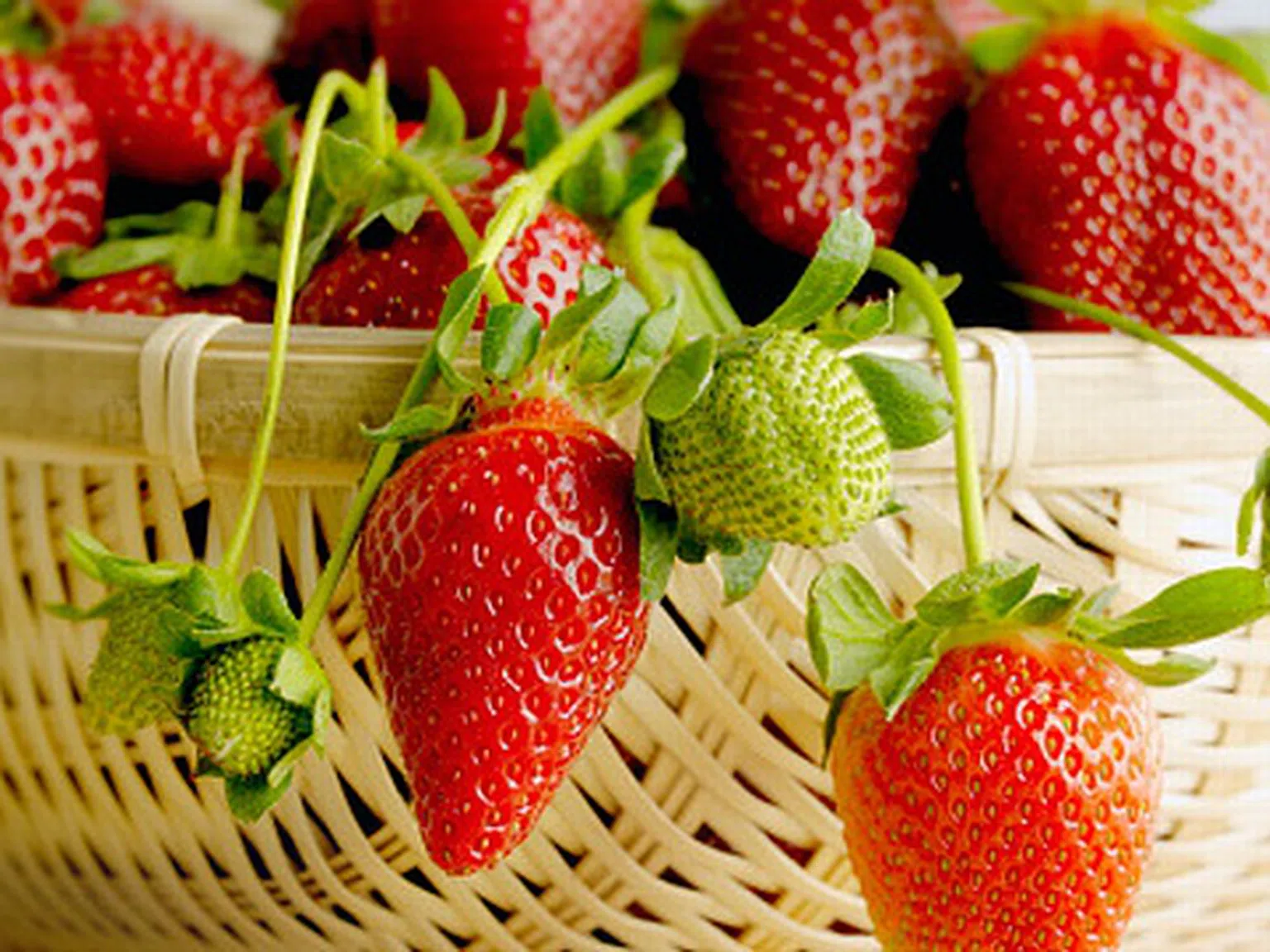 Яжте ягоди за да сте млади! (+ вкусни ягодови рецепти!)