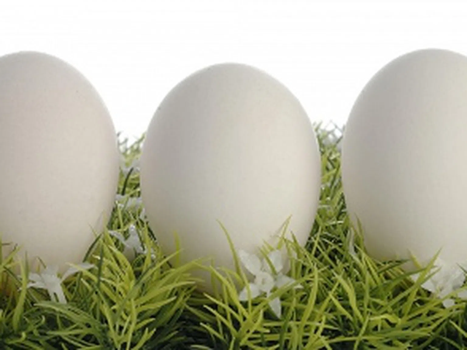 Разбит мит на седмицата: яйцата  вдигат холестерола