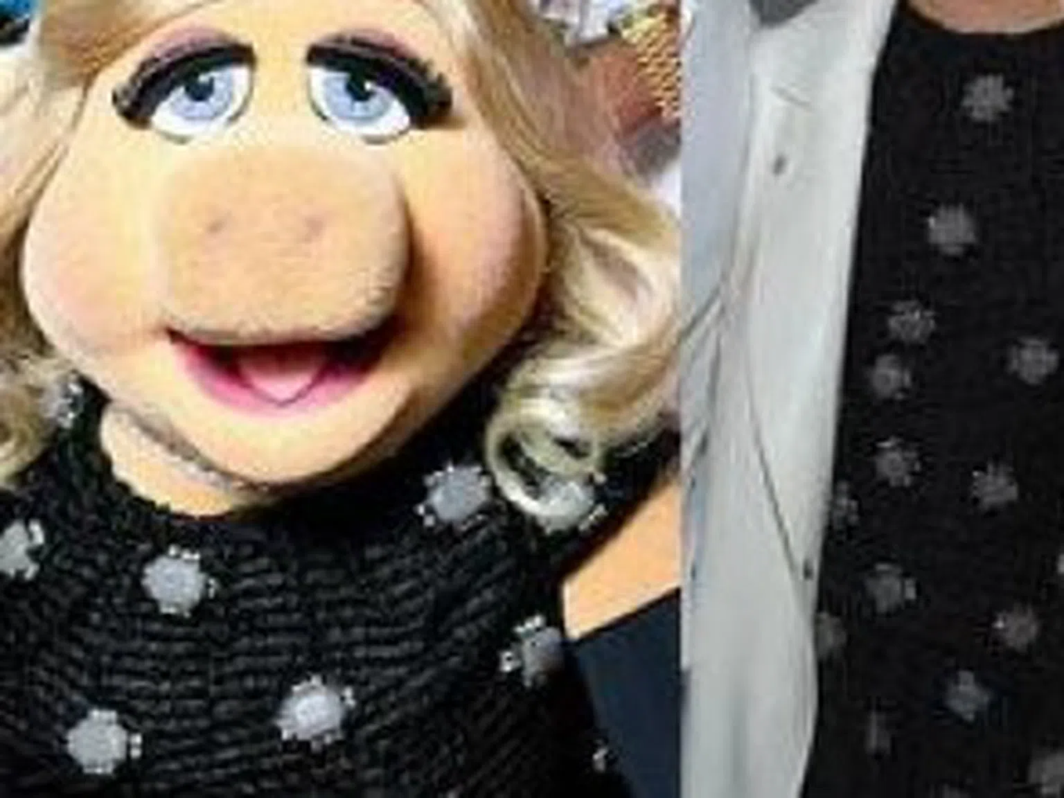 На коя й отива повече: Пиги или Лейди Гага?