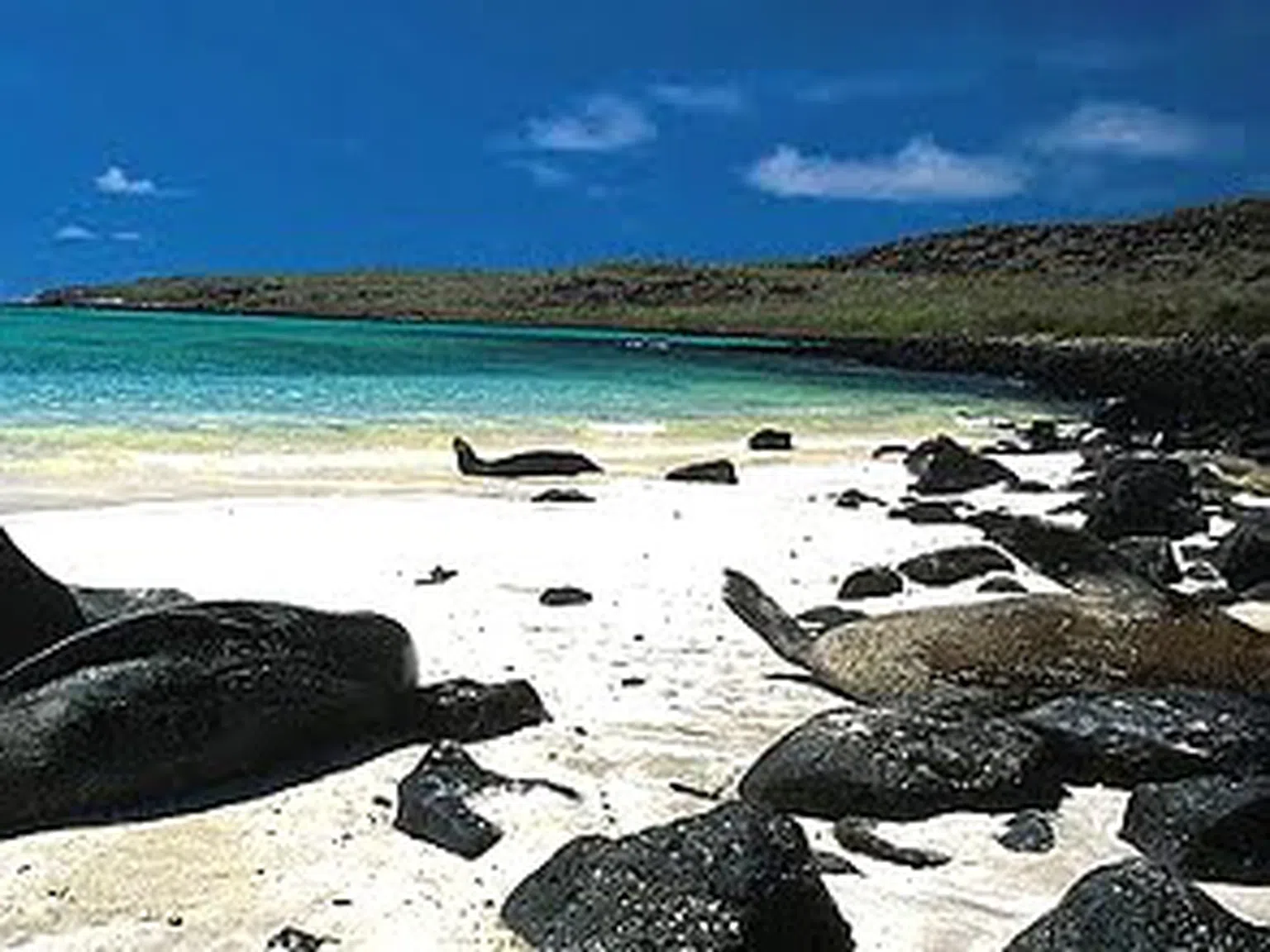 Райска красота - островите Галапагос