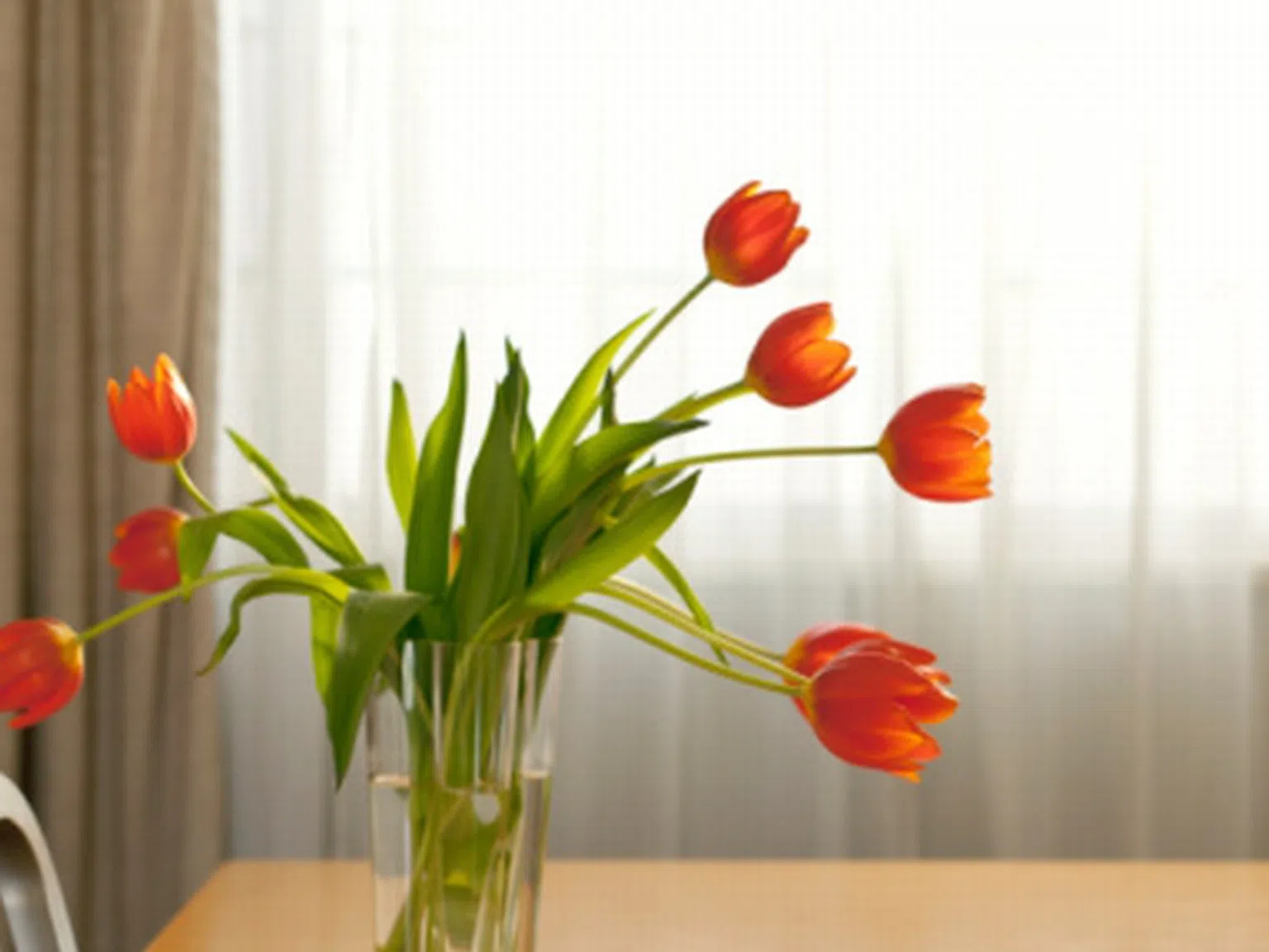 Пролетта в дома ти – идеи за интериора