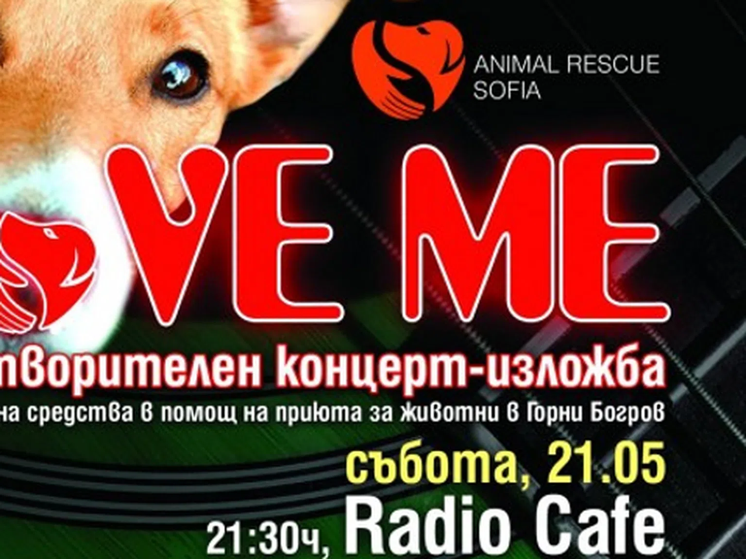 LOVE ME - Благотворителен Концерт-Изложба за приюта в Богров