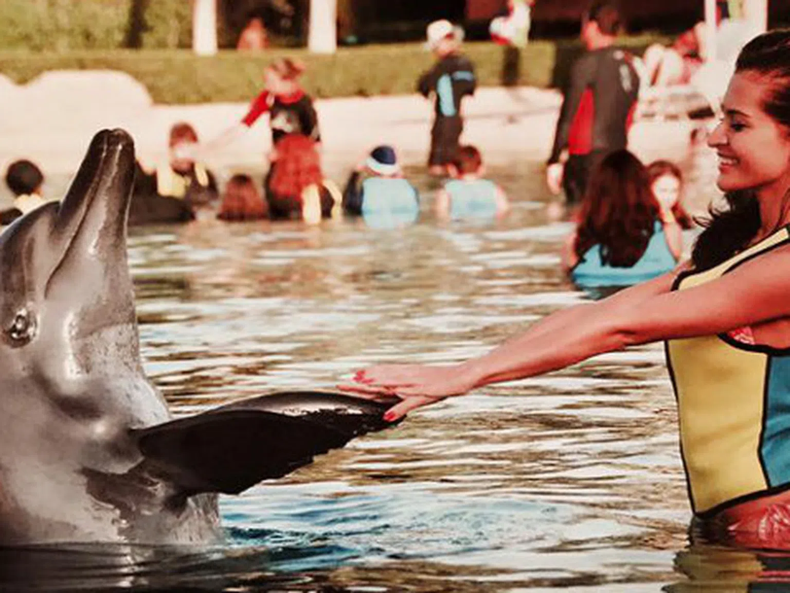 Преслава танцува с делфин в Дубай