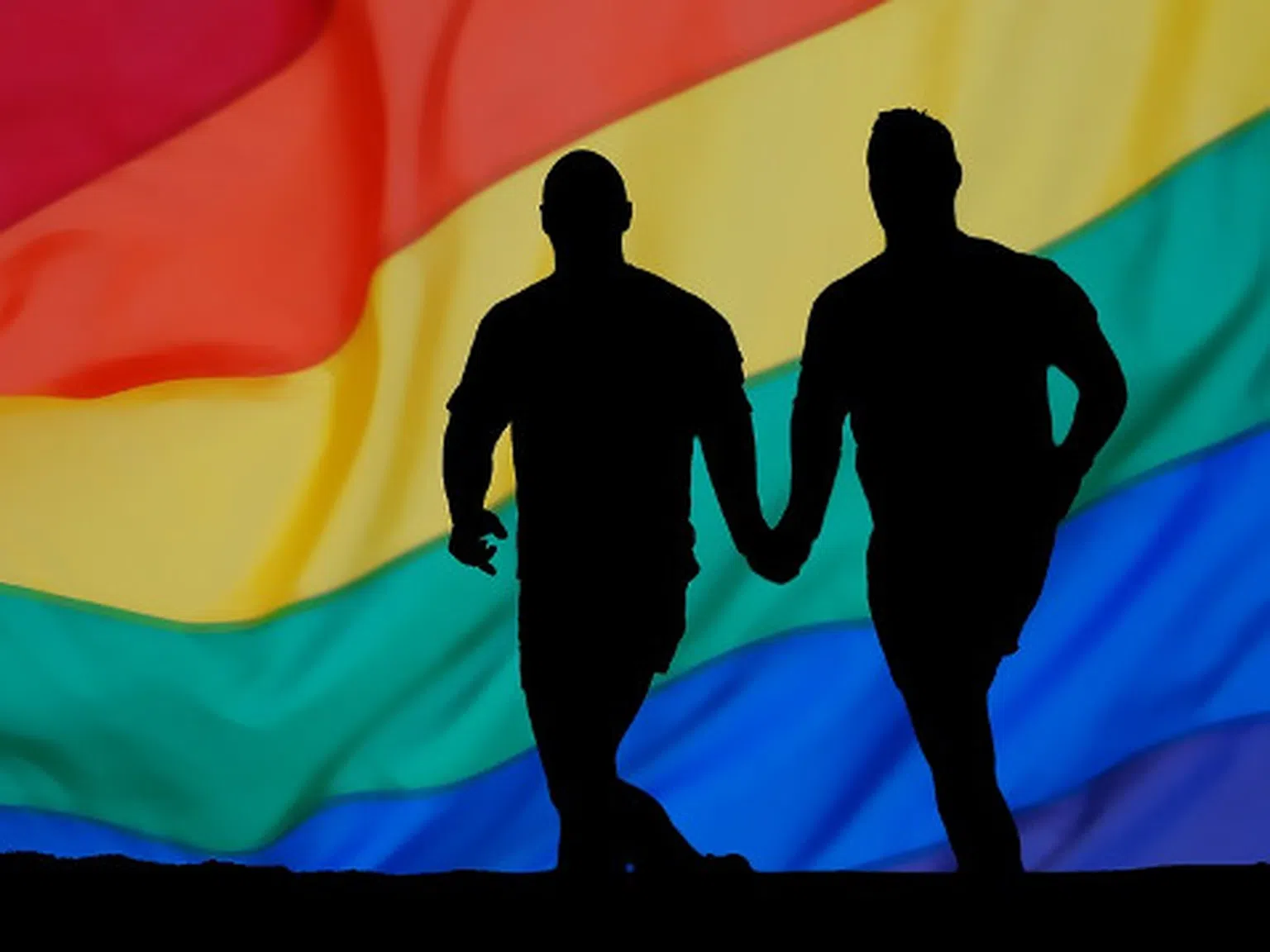 Любовта няма пол: И Германия легализира гей браковете