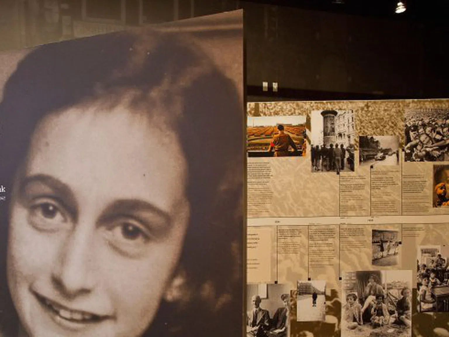 16-годишно момиче е автор на едно от най-ярките свидетелства срещу нацистите