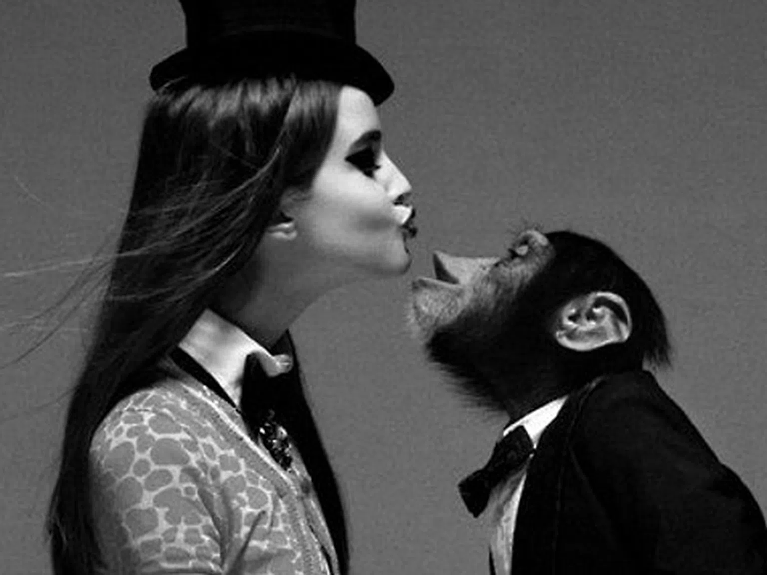 В любовта сме като шимпанзетата