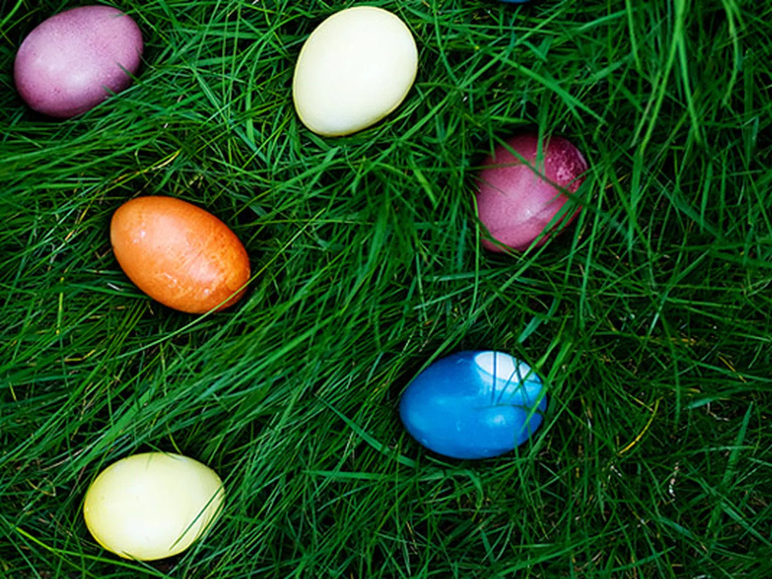 Опитайте: 9 натурални бои за яйца