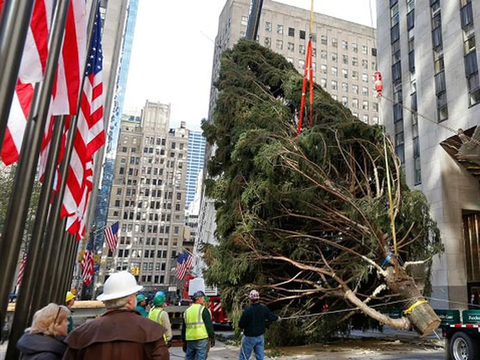 23-метрова елха украсява Ню Йорк (снимки)