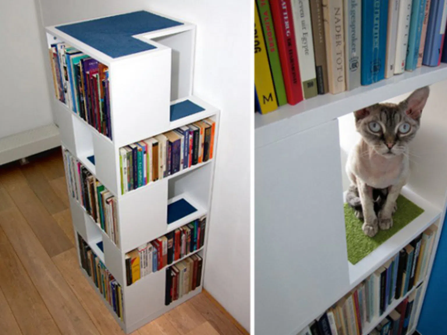 CatCase: Библиотека и игрална площадка за котета в едно
