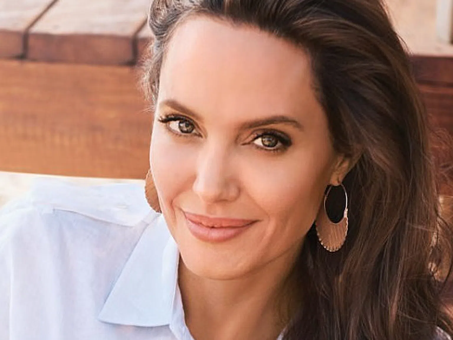 Анджелина Джоли се озова сред гепарди