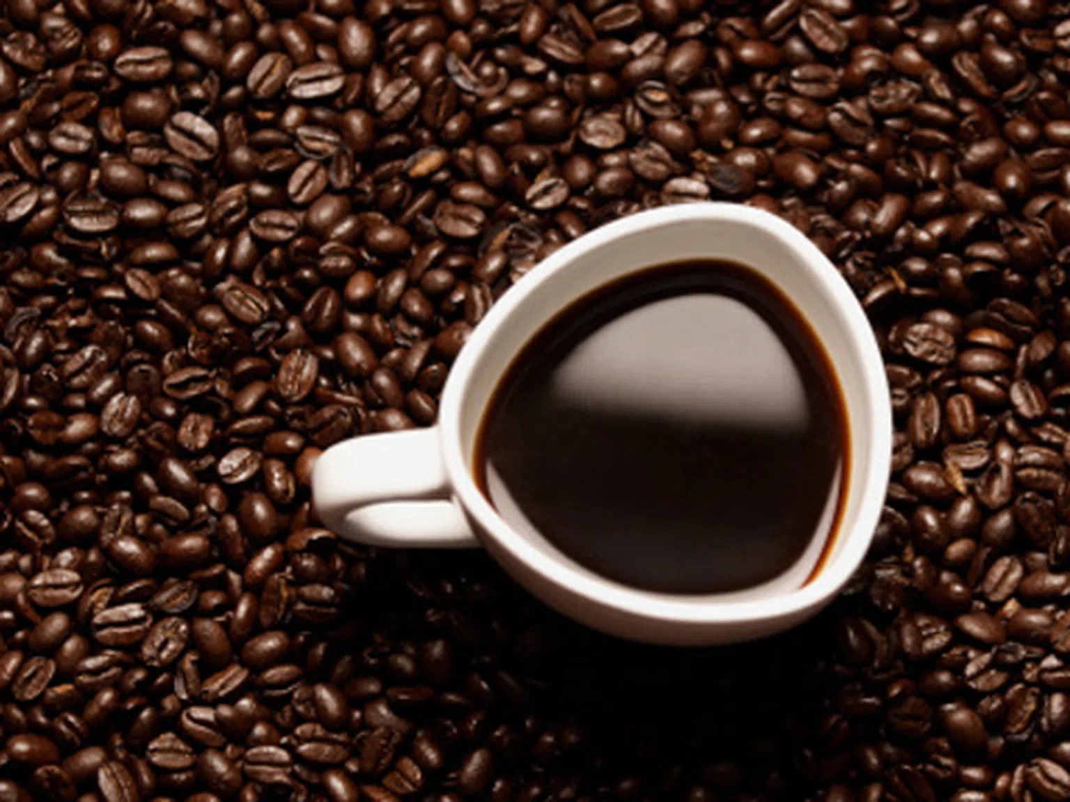 Речник на кафето: Арабика