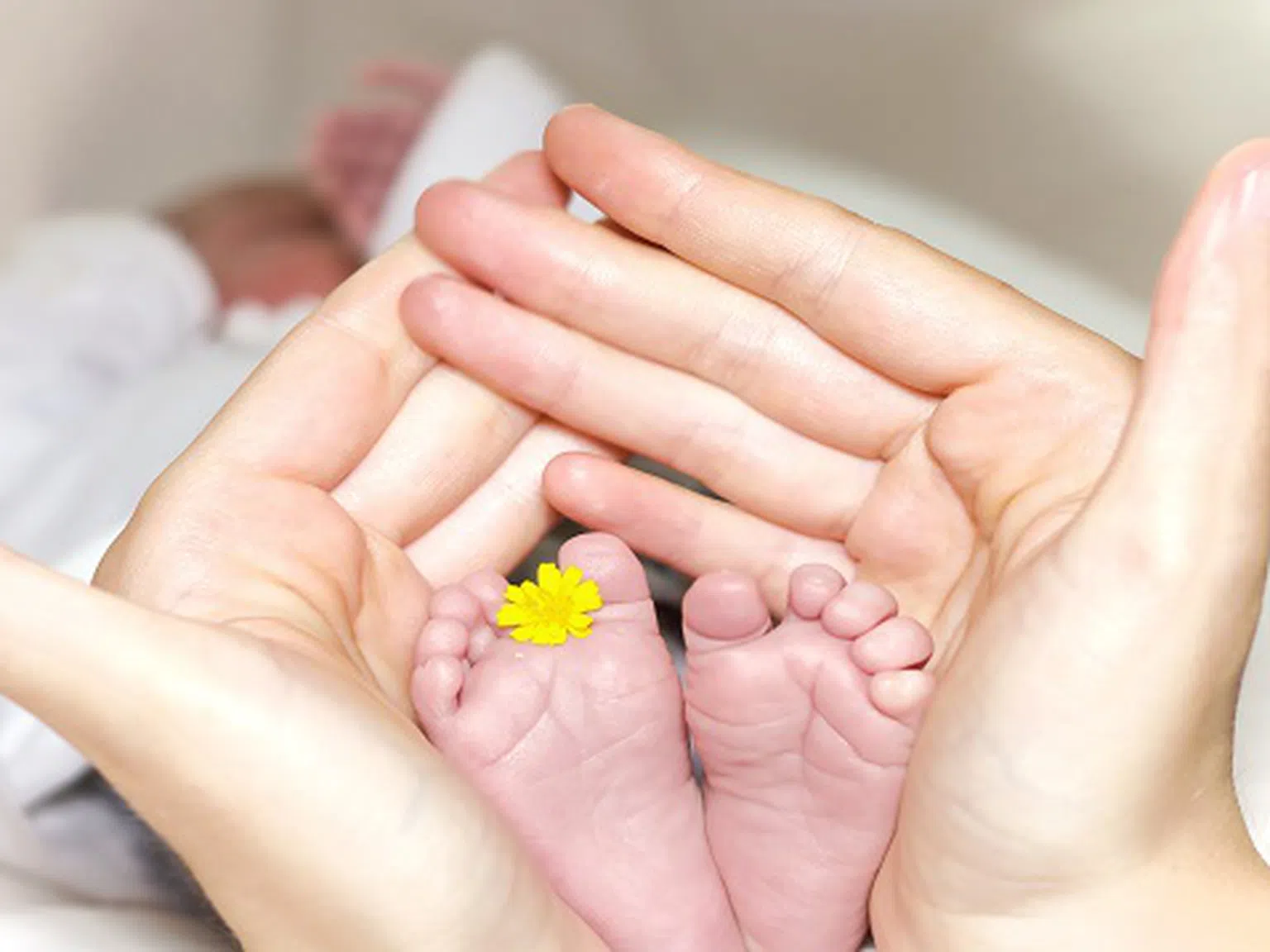 Роди се най-малкото бебе в света - 242 грама живот!