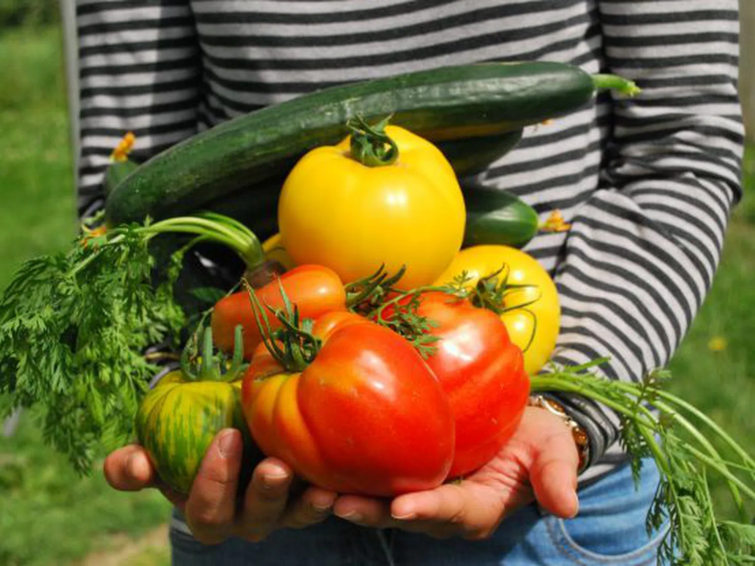 В сезона на свежите плодове и зеленчуци: Защо да заложим на гарантирано пресни и български